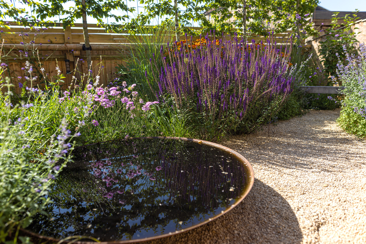 lavender-1