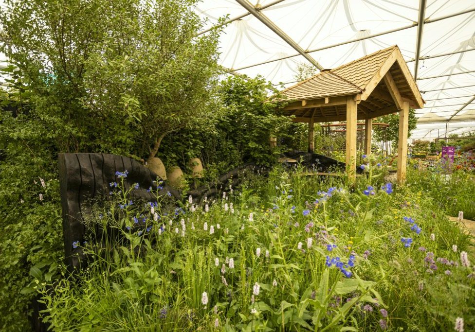 RHS Chelsea Microbiome Garden 00005-min